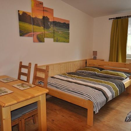 Studio Apartments Lipno 22, 24 Липно-над-Влтавой Номер фото