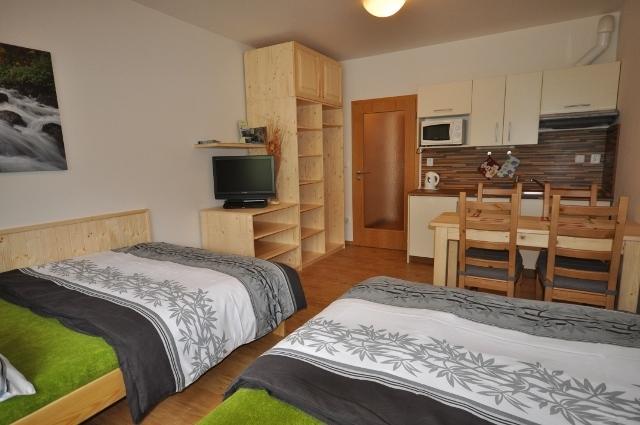 Studio Apartments Lipno 22, 24 Липно-над-Влтавой Номер фото